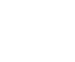 RE/MAX Metropolis logo